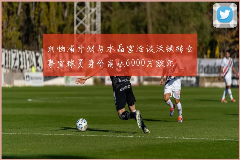 利物浦计划与水晶宫洽谈沃顿转会事宜球员身价高达6000万欧元