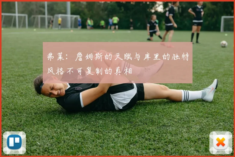 弗莱：詹姆斯的天赋与库里的独特风格不可复制的真相