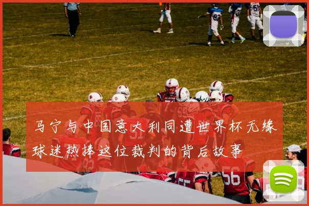 马宁与中国意大利同遭世界杯无缘球迷热捧这位裁判的背后故事